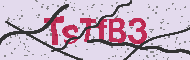 Code captcha